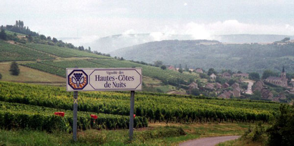 Burgundy: Haute Côte des Nuits vineyards