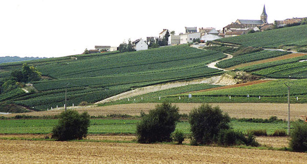 Champagne village and vineyards