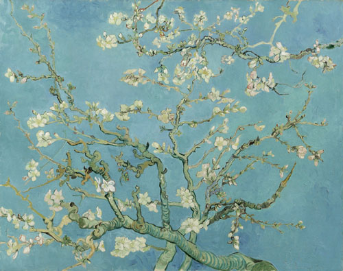 Vincent Van Gogh Almond Blossom