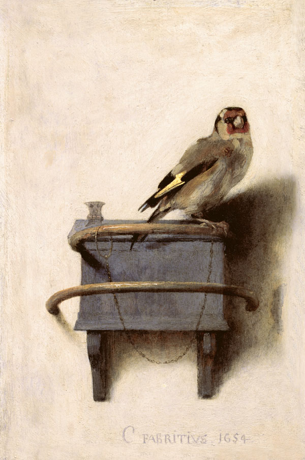 The Goldfinch 1654 by Carel Fabritius