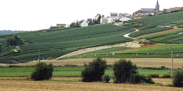 Champagne village and vineyards