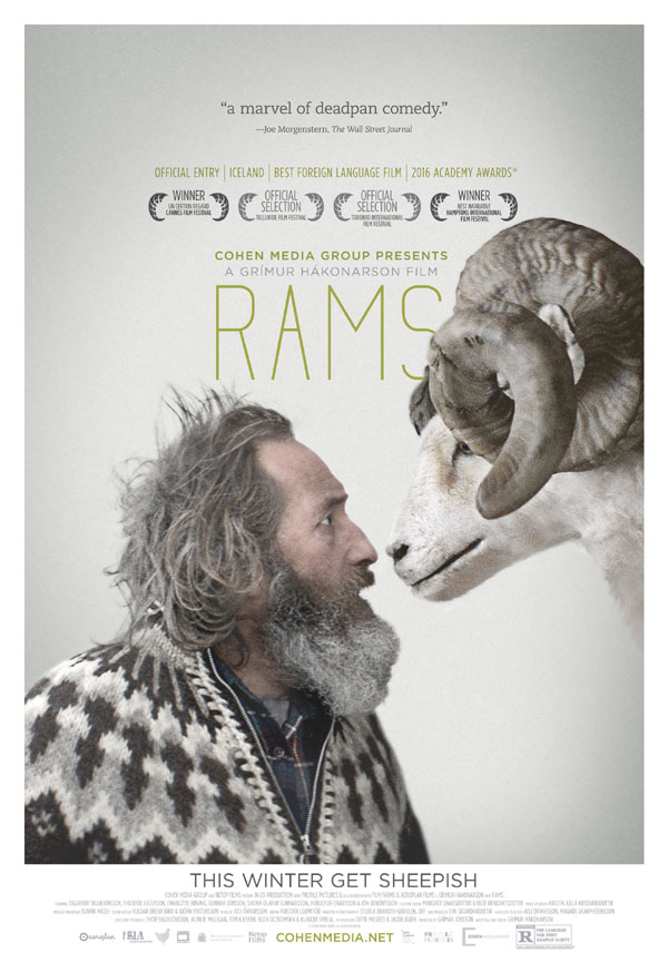 Rams (Hrútar)