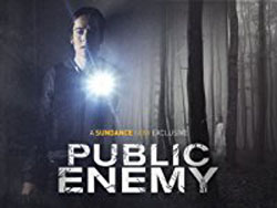 Public Enemy Season 1