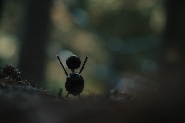 The Chestnut Man