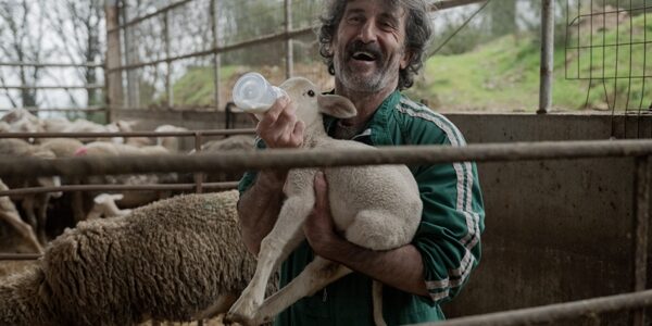 Old Dog, New Tricks: New Spanish Comedy Series Gets Debut Date Old Dogs, New Tricks