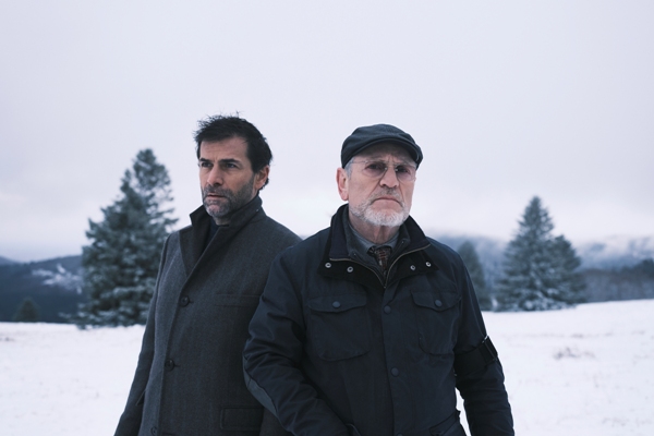 Forest of the Missing